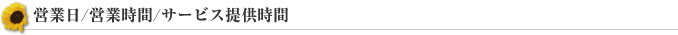 営業日/営業時間/サービス提供時間